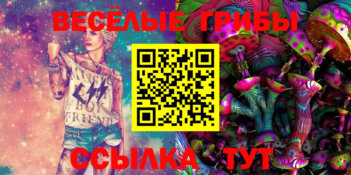 Ковров  Галлюциногенные грибы GOLDEN TEACHER  Вход с VPN 