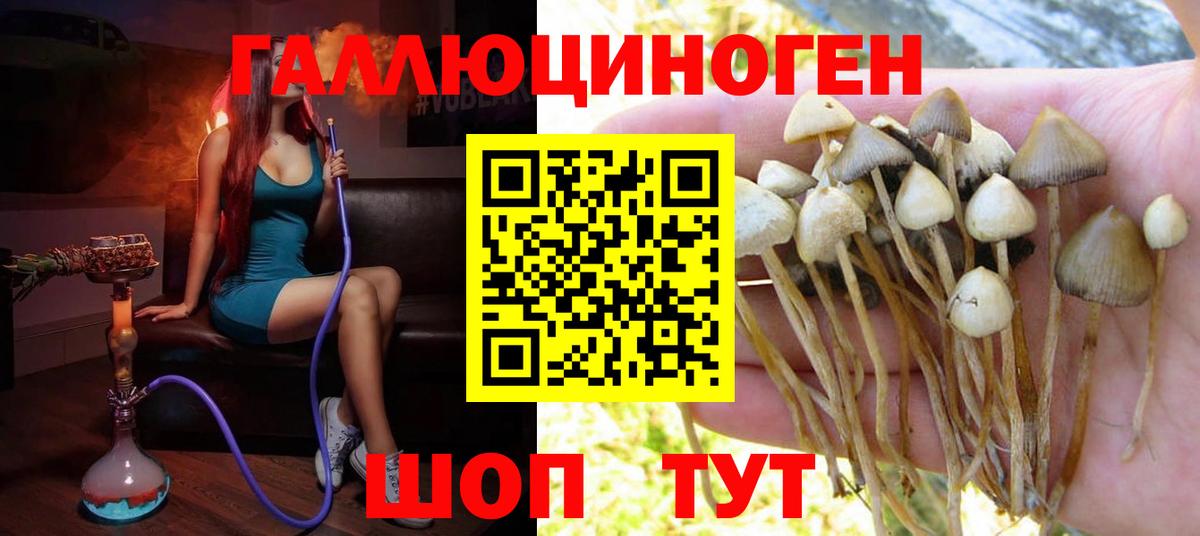 Псилоцибиновые грибы MAGIC MUSHROOMS Ковров